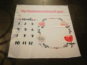 Infant Baby Milestone Blanket Photo Photography Prop Blankets Backdrop Cloth Calendar Bebe Boy Girl Photo Accessories 100x100cm